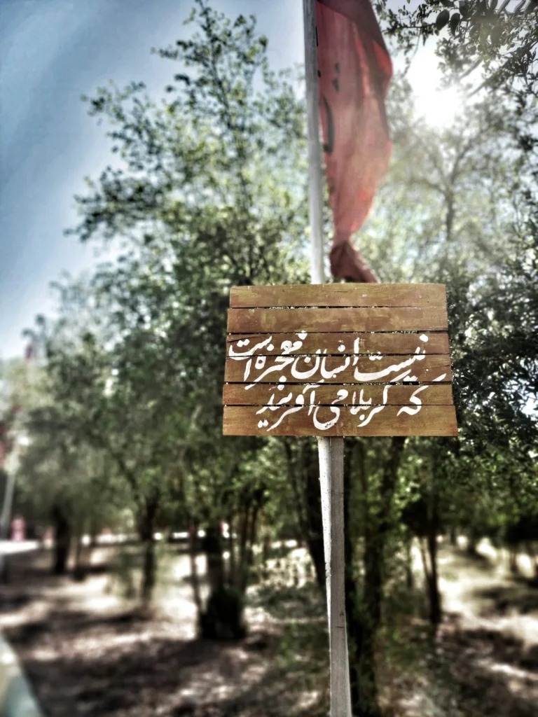 نازنین موسیوند
